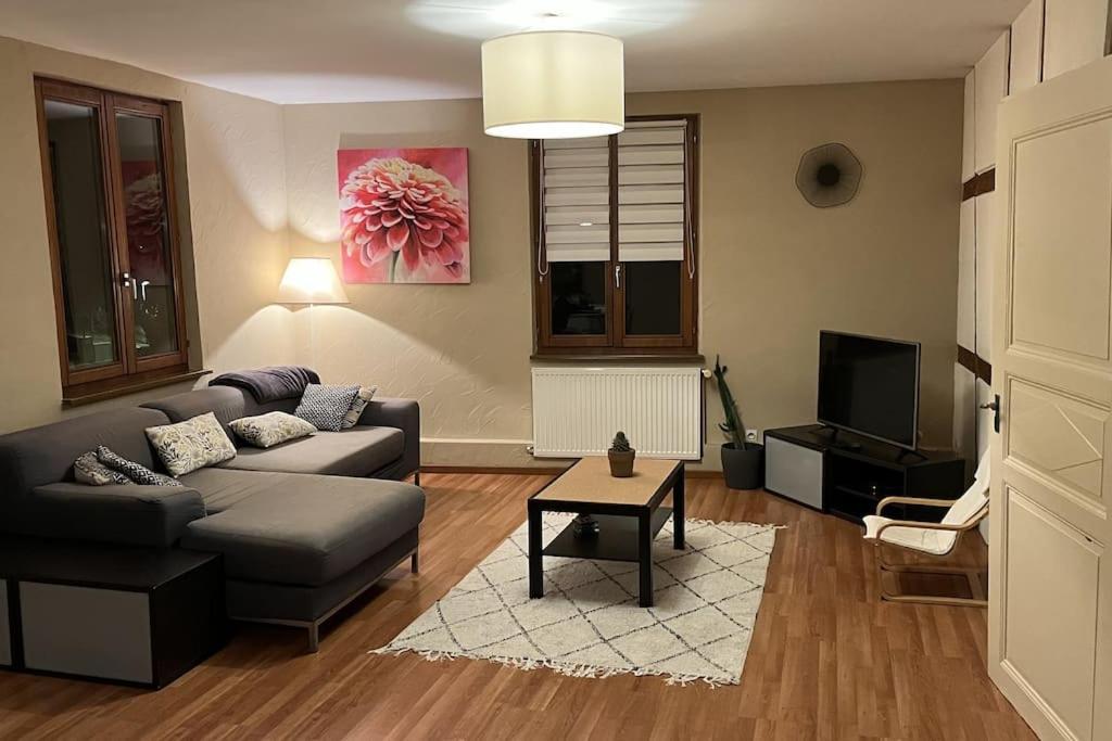 Grand Appartement A Barr Dış mekan fotoğraf